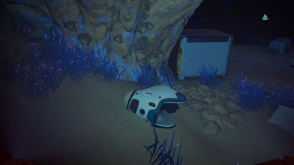 Tadpole Fragment 3 - Past Purple Jellyfish