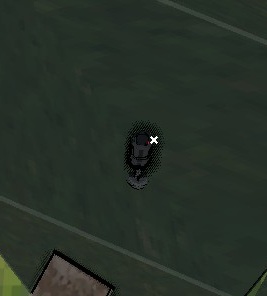 Hamster Hunter: All Camera Locations