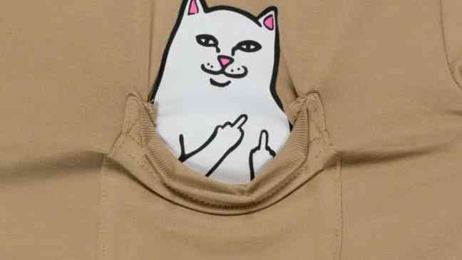 Streetwear brand RipnDip faces backlash after copyright complaint against indie artist