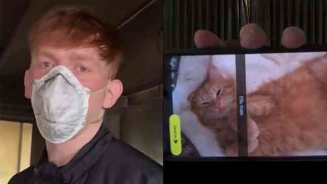 Angryginge reveals 2 cats and rabbit died when his mom’s house burned down