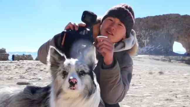 Influencer dog with 1.5 million followers allegedly stolen and eaten after being sold to restaurant