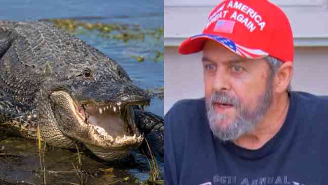 71-year-old Florida man fights off alligator with fishing pole after it bites him