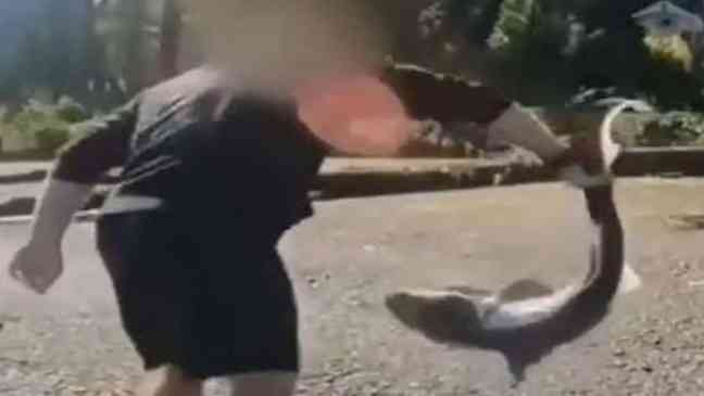 Man arrested after being accused of illegally fishing for rare sharks and wrestling them