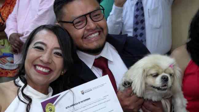 Pets are serving as marriage witnesses in Ecuador