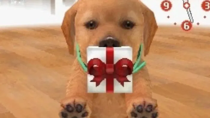 I Left My Nintendogs Decades Ago, and the Guilt Is Eating Me Alive