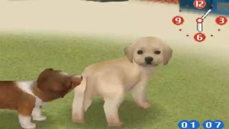 I Left My Nintendogs Decades Ago, and the Guilt Is Eating Me Alive