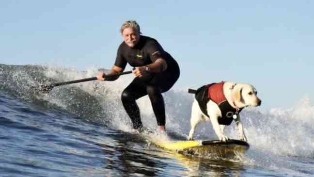 Woman and her dog both beat cancer and compete in dog surfing championships